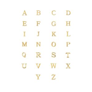 Initial Zip Pull Charm (Gold)