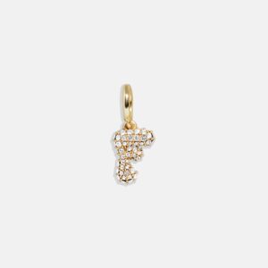 Pavé Bubble Initial Cluster Charm  - F