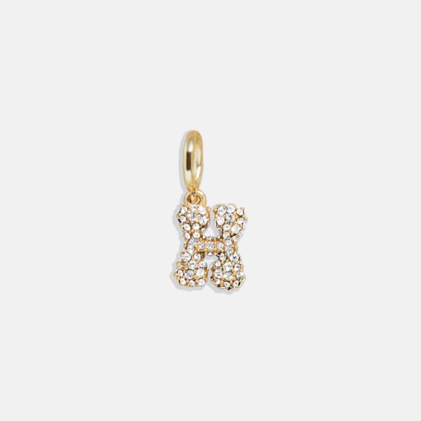 Pavé Bubble Initial Cluster Charm  - H