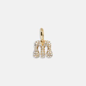 Pavé Bubble Initial Cluster Charm  - M