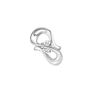 Cosmic Orbit Ring